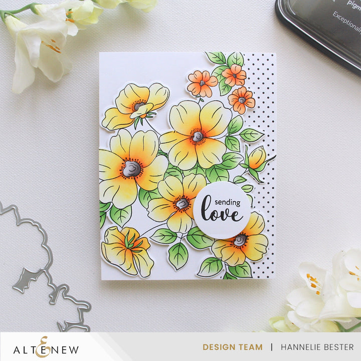 Stencil & Die & Embossing Folder Bundle Flutter & Bloom