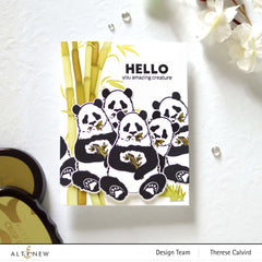 Stencil & Embossing Folder Bundle Bamboo Branches