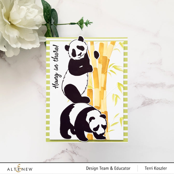 Stencil & Embossing Folder Bundle Bamboo Branches