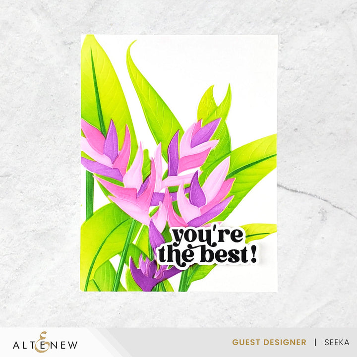 Stencil & Embossing Folder Bundle Charming Heliconia