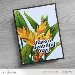 Stencil & Embossing Folder Bundle Charming Heliconia