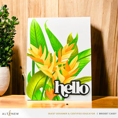 Stencil & Embossing Folder Bundle Charming Heliconia