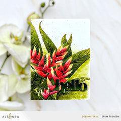 Stencil & Embossing Folder Bundle Charming Heliconia