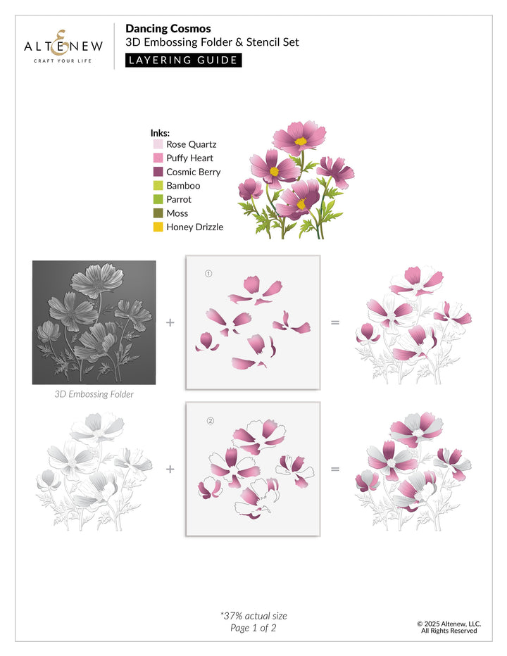 Stencil & Embossing Folder Bundle Dancing Cosmos