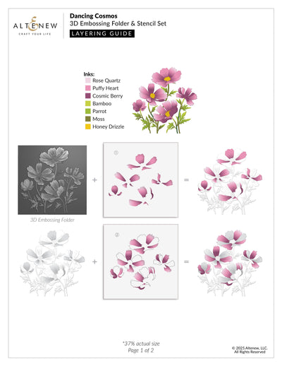Stencil & Embossing Folder Bundle Dancing Cosmos