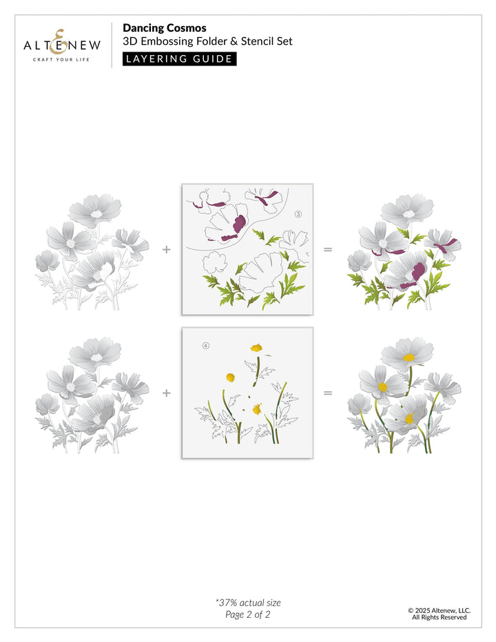 Stencil & Embossing Folder Bundle Dancing Cosmos