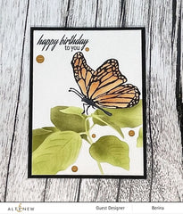 Stencil & Embossing Folder Bundle Gentle Butterfly