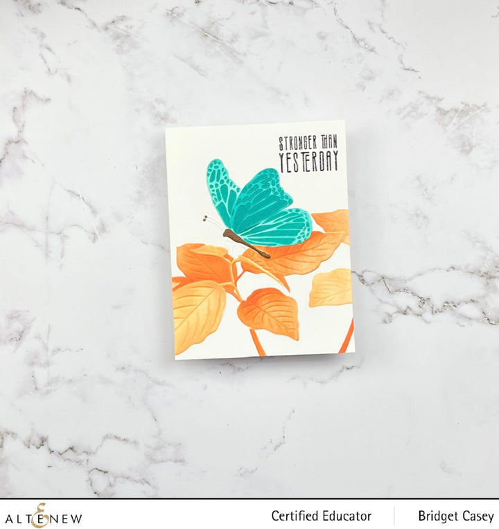 Stencil & Embossing Folder Bundle Gentle Butterfly