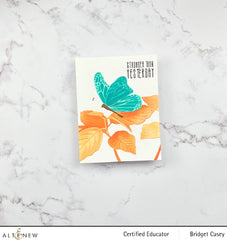 Stencil & Embossing Folder Bundle Gentle Butterfly