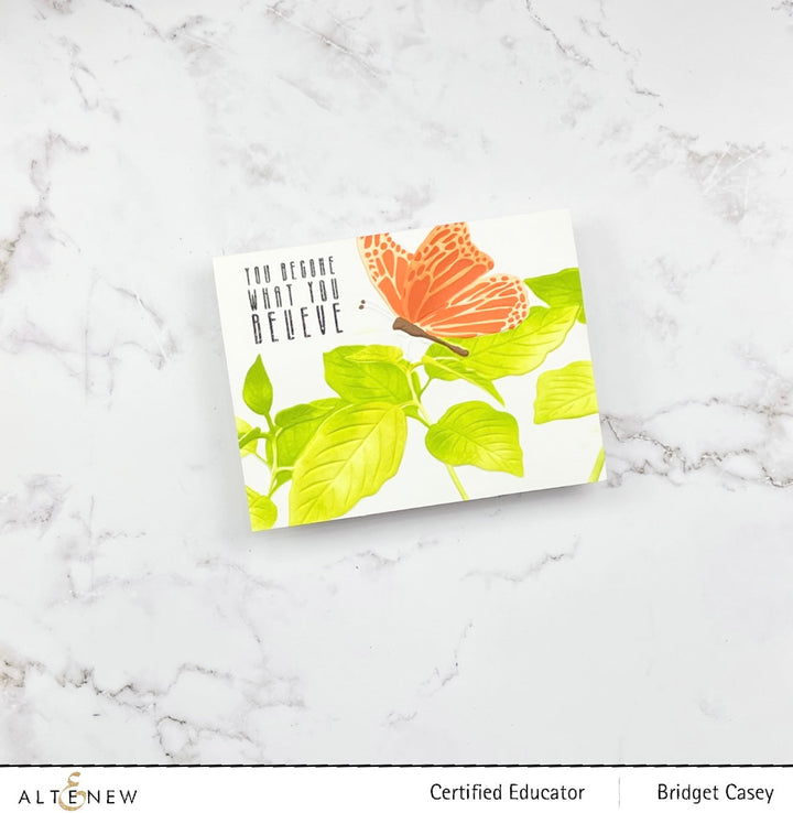 Stencil & Embossing Folder Bundle Gentle Butterfly