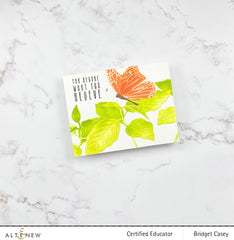 Stencil & Embossing Folder Bundle Gentle Butterfly