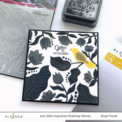 Stencil & Embossing Folder Bundle Imaginary Jungle