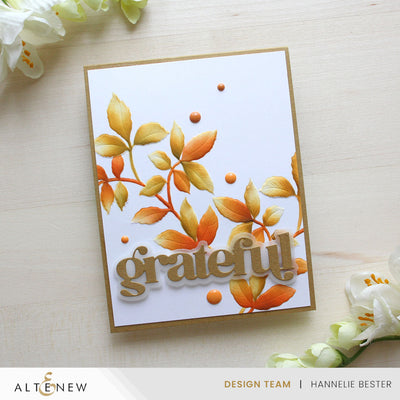 Stencil & Embossing Folder Bundle Leafy Splendor