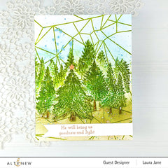 Stencil & Embossing Folder Bundle Pine Forest