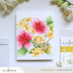 Stencil & Embossing Folder Bundle Sun-Kissed Blooms