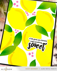Stencil Lemon Craze Stencil Set (3 in 1)