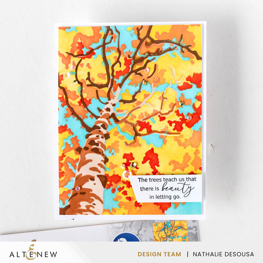 Stencil Stencil Art: Aspen Sky Layering Stencil Set (6 in 1)