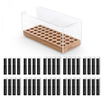 Tools Bundle Crafter’s Showcase: 40 Mini Blending Brushes & Storage Bundle