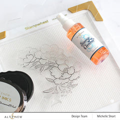 Tools Stamp Cleaner