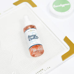 Tools Stamp Cleaner