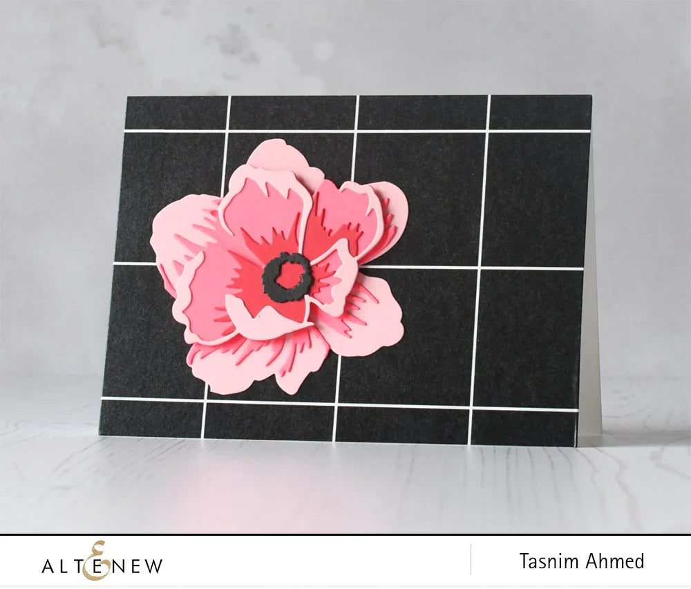 Washi Tapes Tuxedo Wide Washi Tape