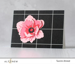 Washi Tapes Tuxedo Wide Washi Tape