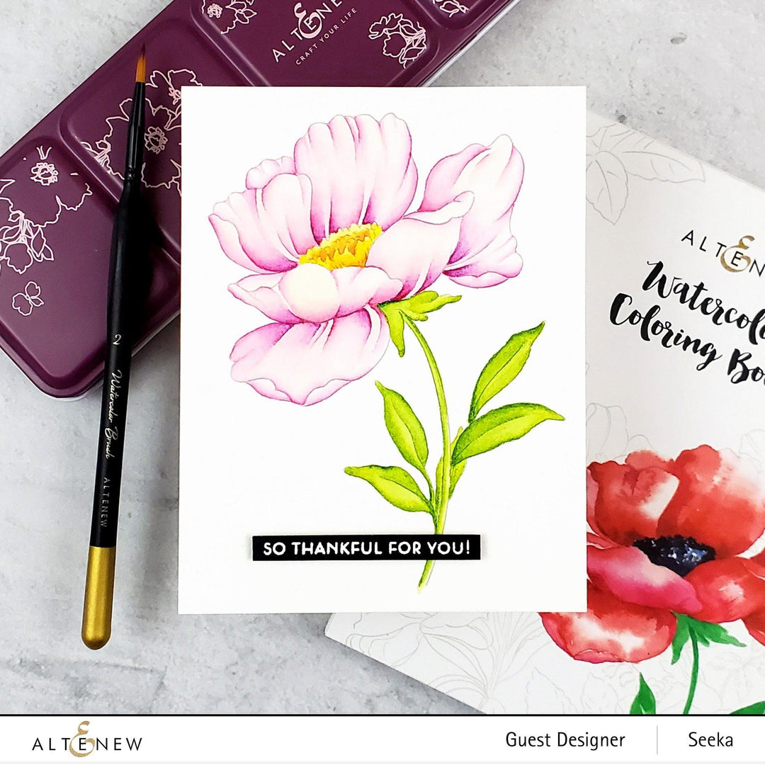 Watercolor Artists' Watercolor Brushes - Round