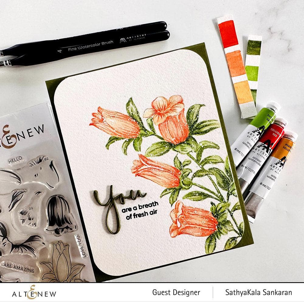 Watercolor Artists' Watercolor Tube - Toluidine Red - (PR.3)