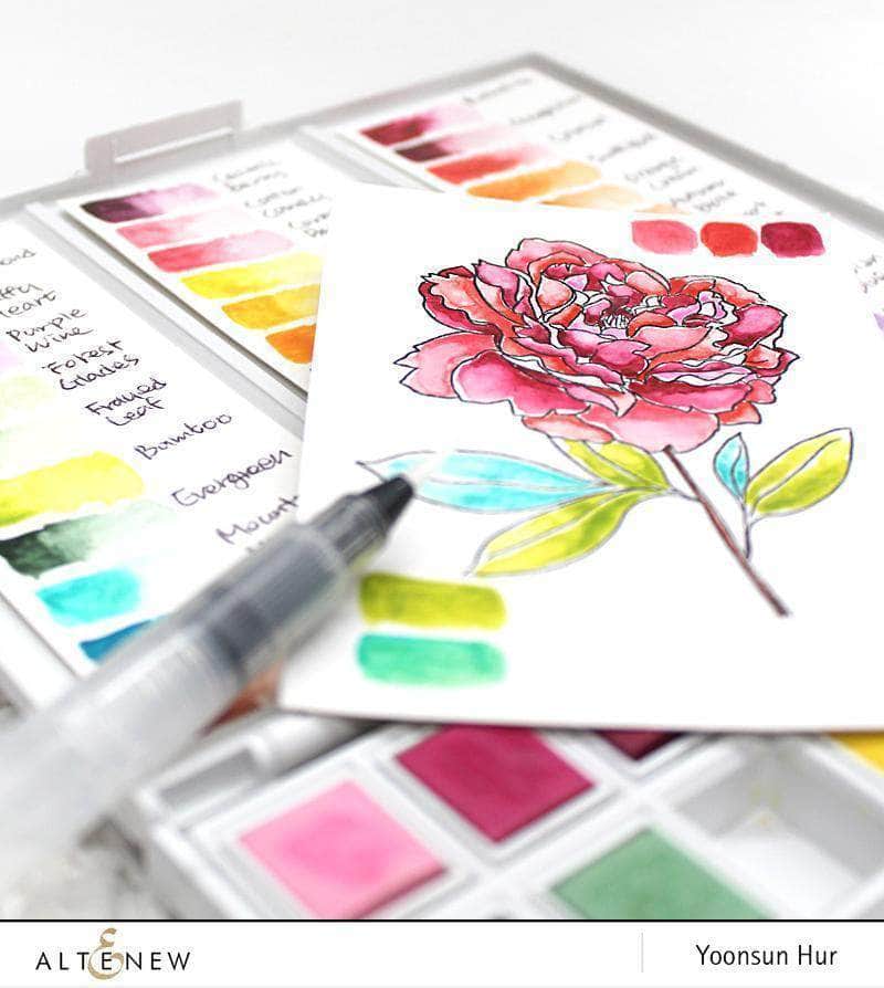 Watercolor Bundle Creative Watercolor Brushes Bundle