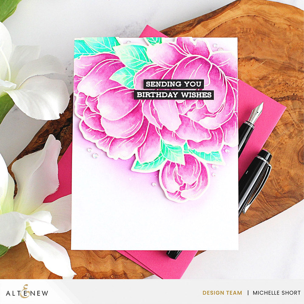 Watercolor Bundle Watercolor Creations Pro Bundle