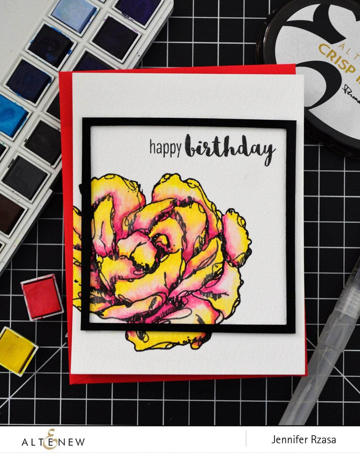 Watercolor Bundle Watercolor Palette Bundle