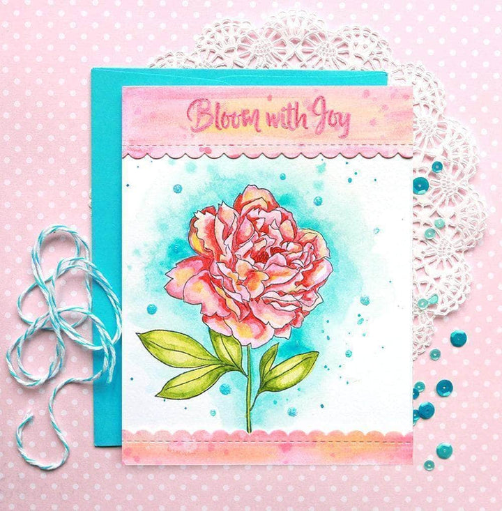 Watercolor Watercolor 36 Pan Set