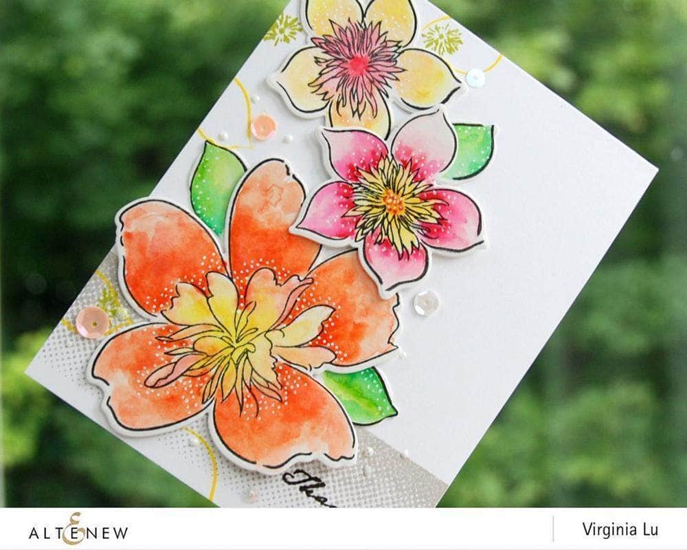 Watercolor Watercolor 36 Pan Set