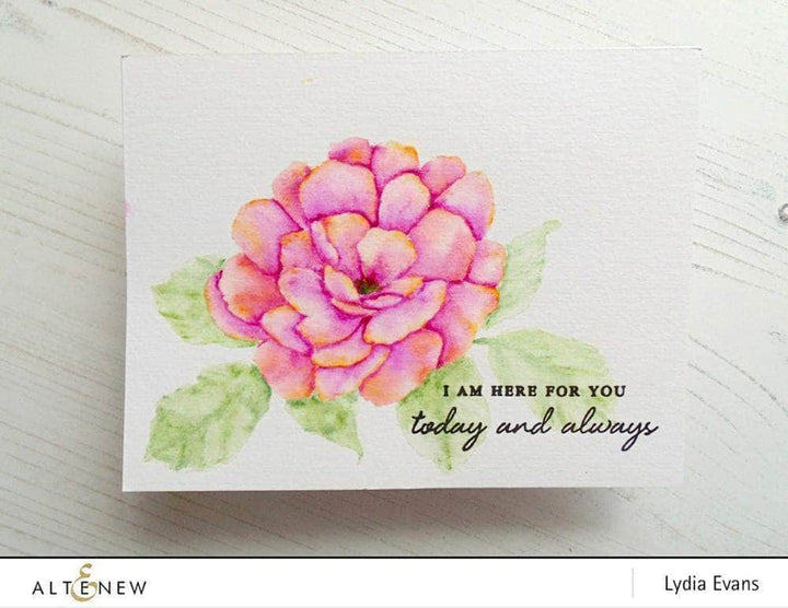 Watercolor Watercolor 36 Pan Set