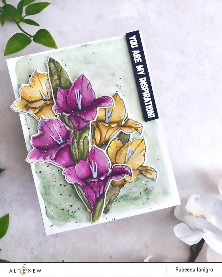 Watercolor Watercolor 36 Pan Set