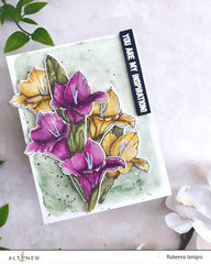 Watercolor Watercolor 36 Pan Set