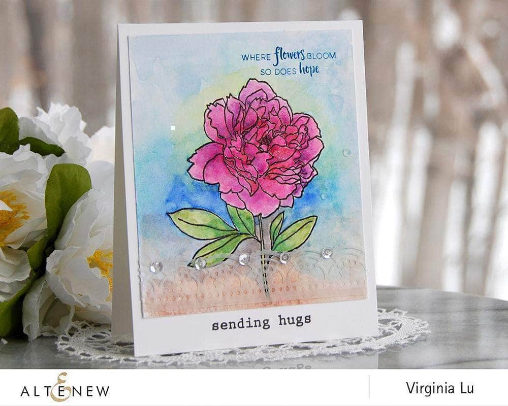 Watercolor Watercolor 36 Pan Set