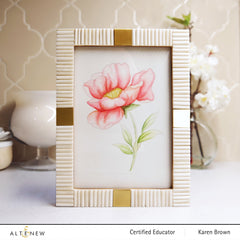 Watercolor Watercolor 36 Pan Set