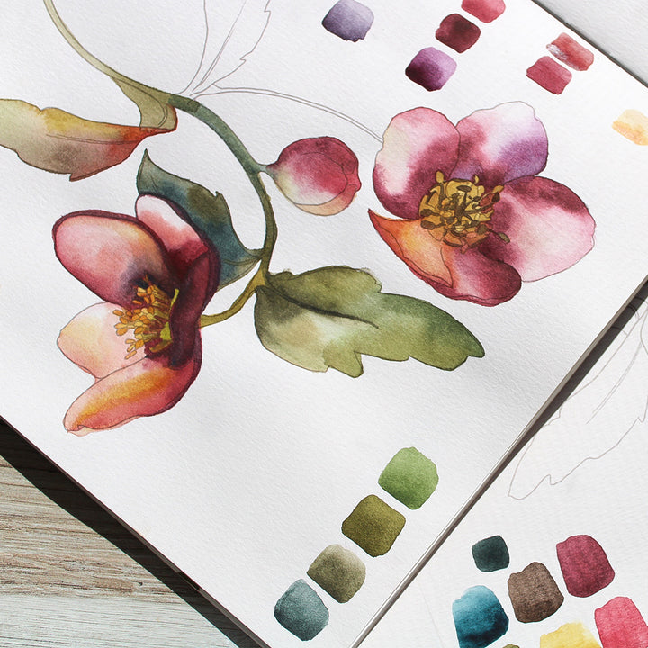 Watercolor Watercolor Compact - Deep Muse