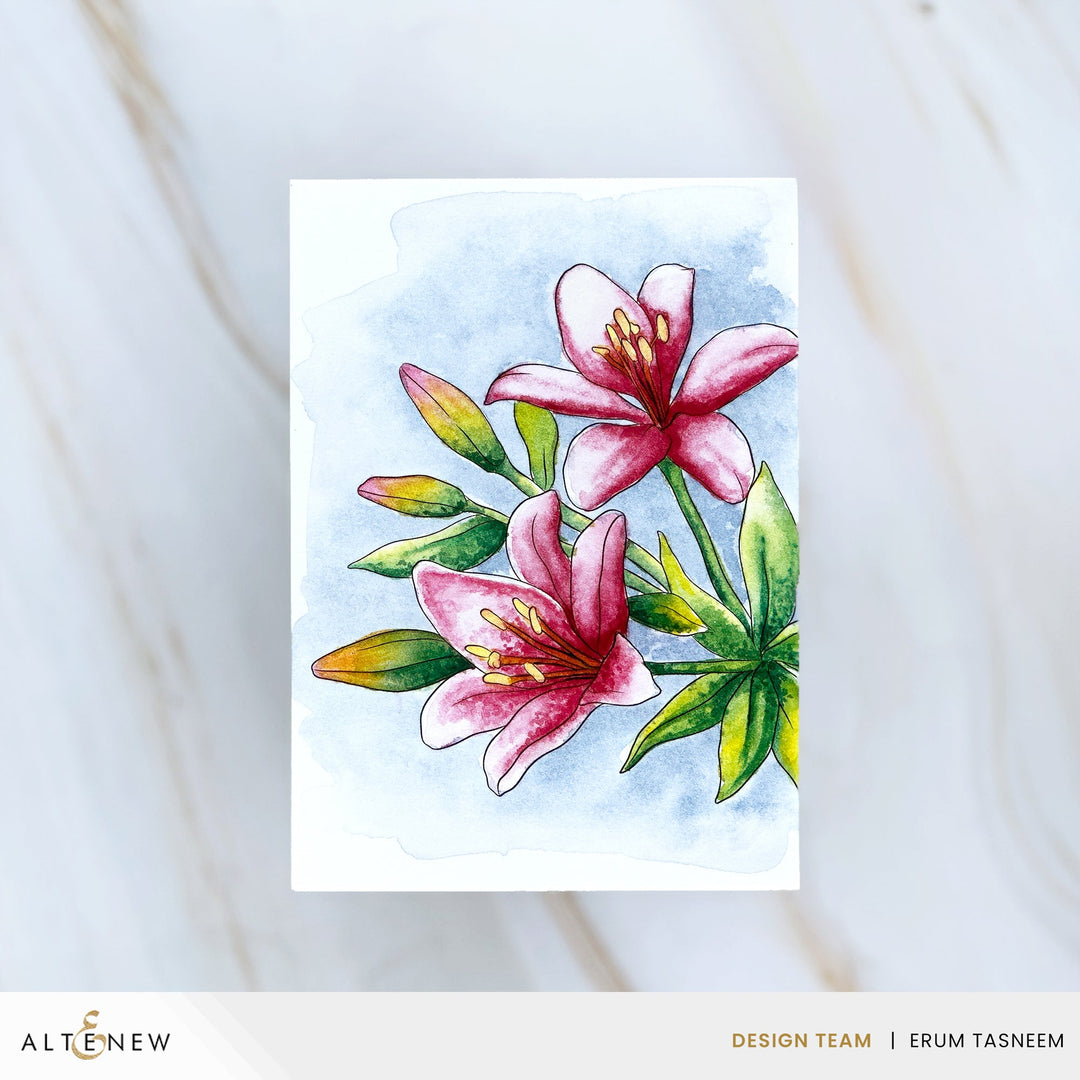 Watercolor Watercolor Compact - Moody Brights