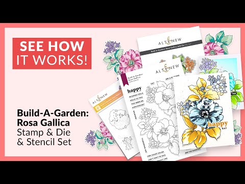 Build-A-Garden: Rosa Gallica